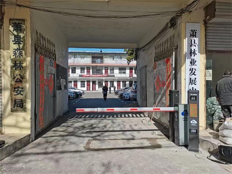 蕭縣森林公安局海角社区在线係統