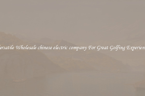 Versatile Wholesale chinese electric company For Great Golfing Experience 