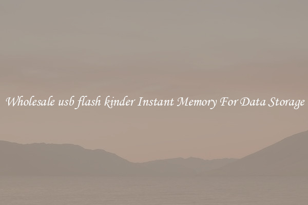 Wholesale usb flash kinder Instant Memory For Data Storage