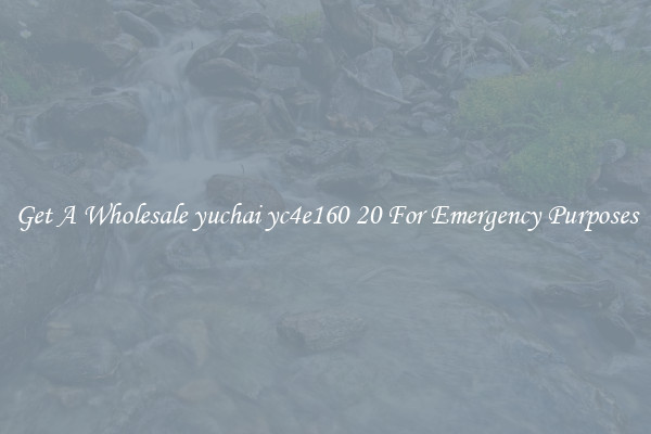 Get A Wholesale yuchai yc4e160 20 For Emergency Purposes