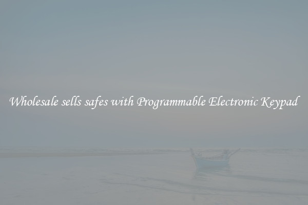 Wholesale sells safes with Programmable Electronic Keypad 