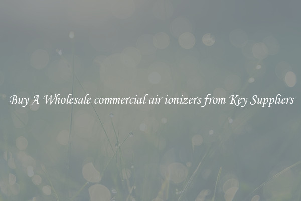 Buy A Wholesale commercial air ionizers from Key Suppliers