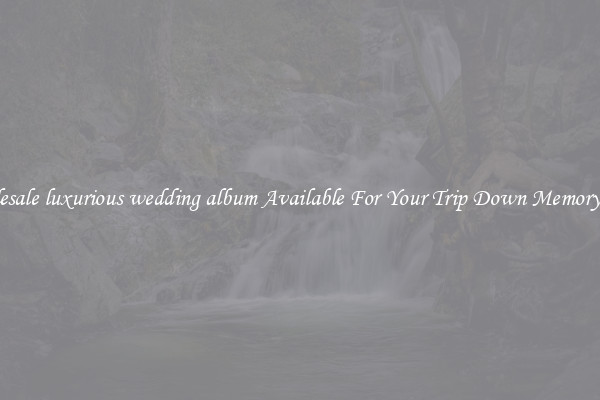 Wholesale luxurious wedding album Available For Your Trip Down Memory Lane