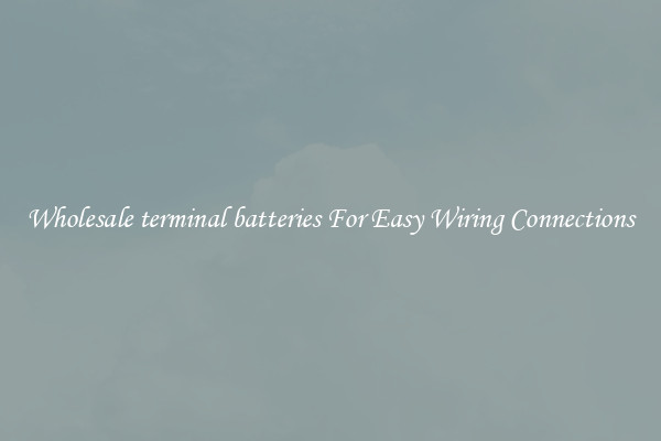 Wholesale terminal batteries For Easy Wiring Connections