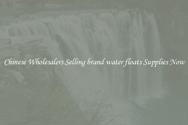 Chinese Wholesalers Selling brand water floats Supplies Now