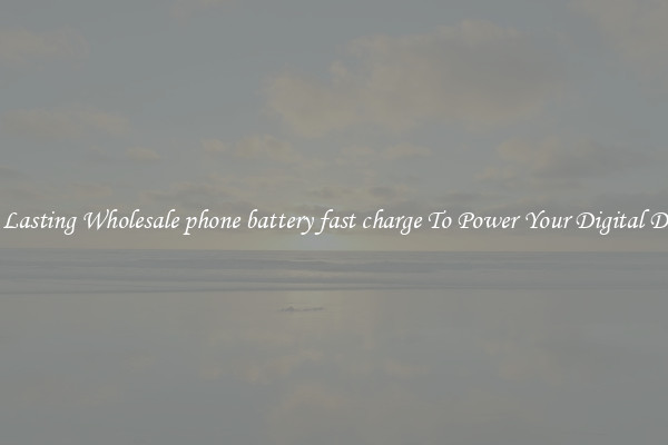 Long Lasting Wholesale phone battery fast charge To Power Your Digital Devices