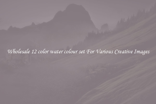 Wholesale 12 color water colour set For Various Creative Images