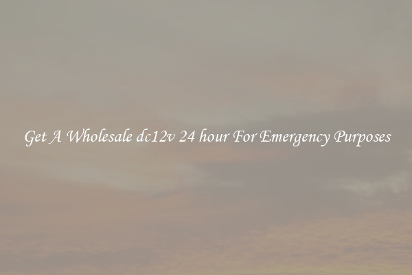 Get A Wholesale dc12v 24 hour For Emergency Purposes