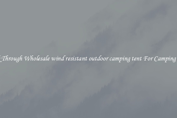 Look Through Wholesale wind resistant outdoor camping tent For Camping Trips