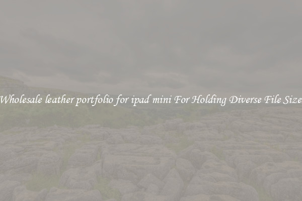 Wholesale leather portfolio for ipad mini For Holding Diverse File Sizes