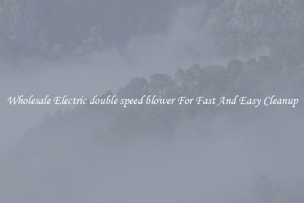 Wholesale Electric double speed blower For Fast And Easy Cleanup