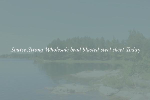 Source Strong Wholesale bead blasted steel sheet Today
