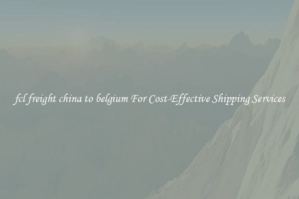 fcl freight china to belgium For Cost-Effective Shipping Services