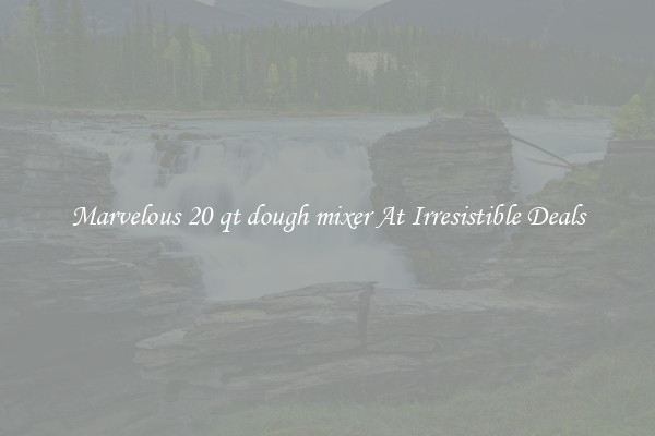 Marvelous 20 qt dough mixer At Irresistible Deals