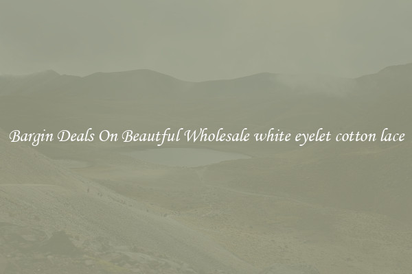 Bargin Deals On Beautful Wholesale white eyelet cotton lace