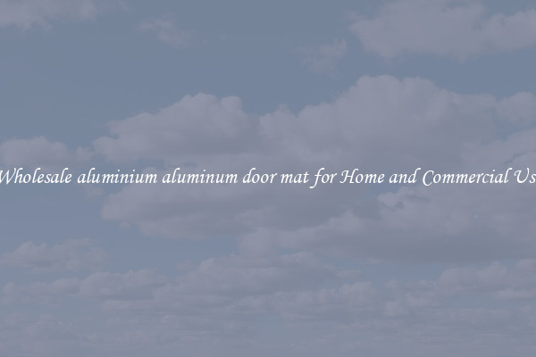 Wholesale aluminium aluminum door mat for Home and Commercial Use