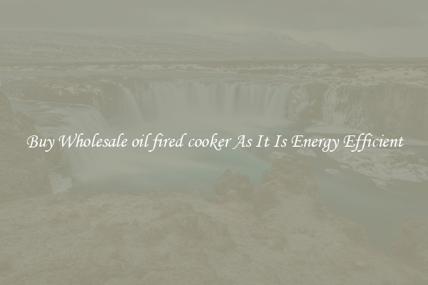 Buy Wholesale oil fired cooker As It Is Energy Efficient