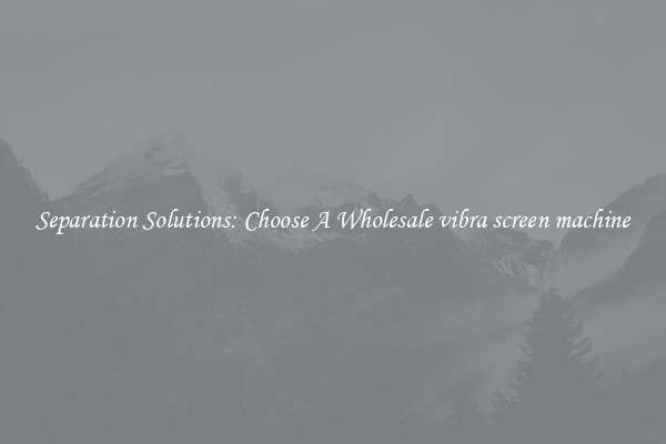 Separation Solutions: Choose A Wholesale vibra screen machine