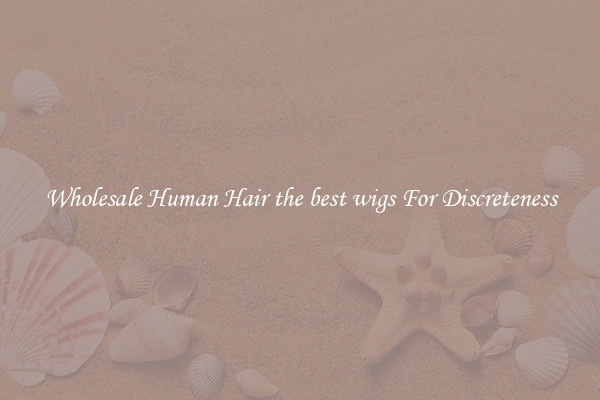 Wholesale Human Hair the best wigs For Discreteness