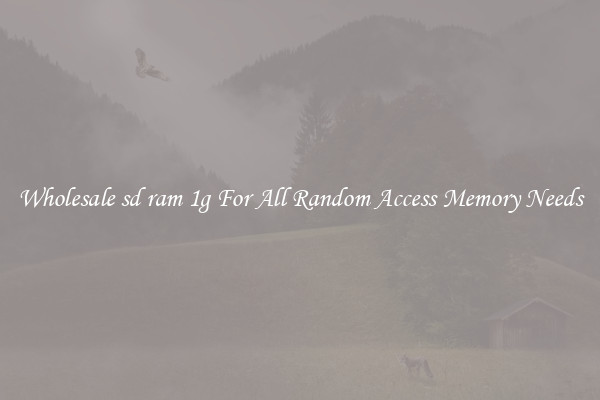 Wholesale sd ram 1g For All Random Access Memory Needs