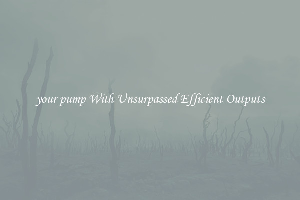 your pump With Unsurpassed Efficient Outputs