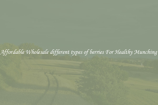 Affordable Wholesale different types of berries For Healthy Munching 