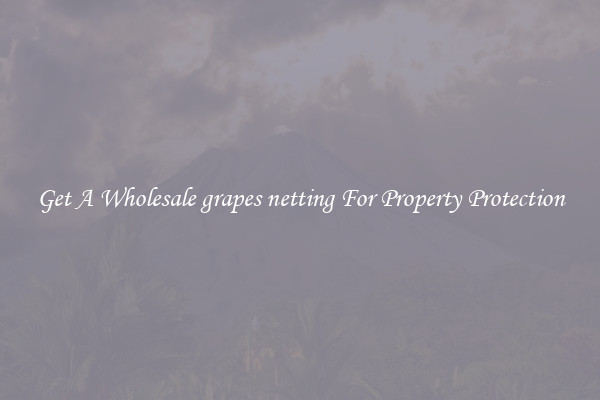 Get A Wholesale grapes netting For Property Protection
