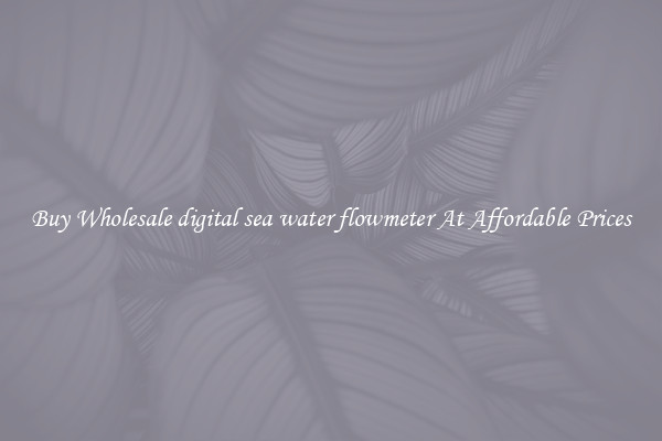 Buy Wholesale digital sea water flowmeter At Affordable Prices