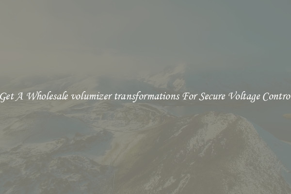 Get A Wholesale volumizer transformations For Secure Voltage Control