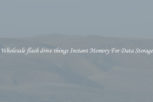 Wholesale flash drive things Instant Memory For Data Storage